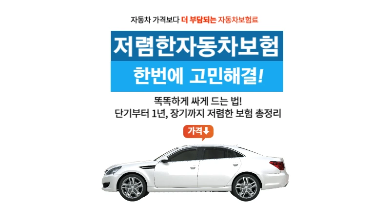 저렴한 자동차보험