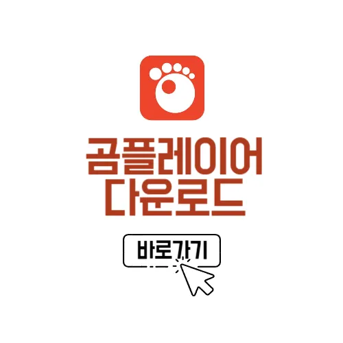 곰플레이어 다운로드