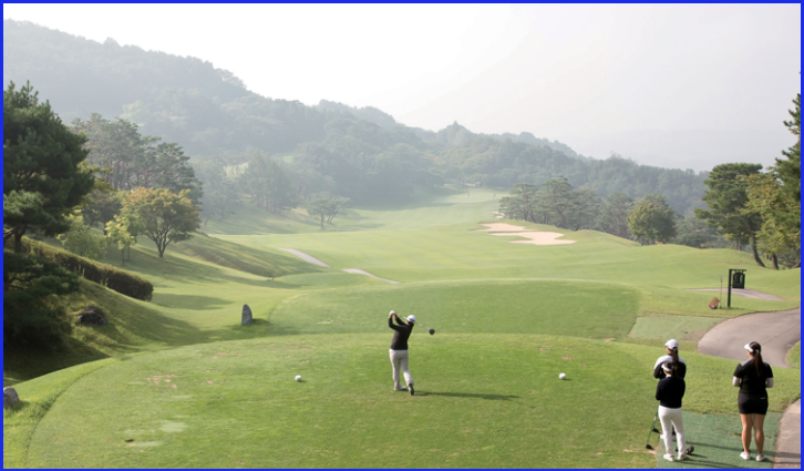 골프장 회원권 시세