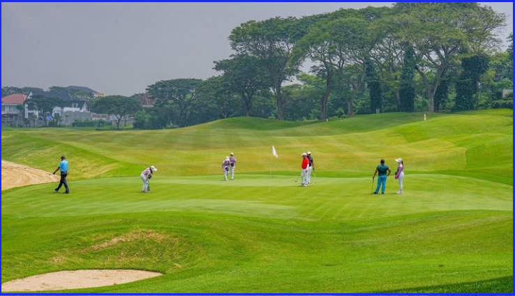 골프장 회원권 시세