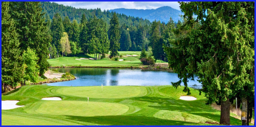 골프장 회원권 시세