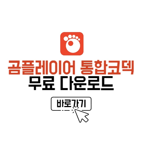 곰플레이어 통합코덱 다운로드